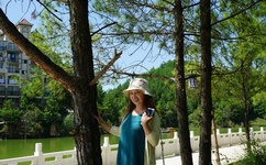 首席执行官下载